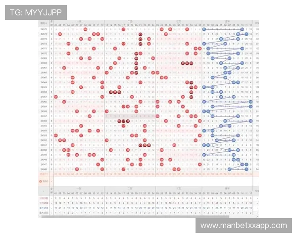P320256期最新开奖结果与号码详细分析